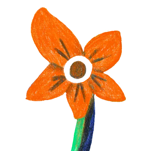 fleur-orange